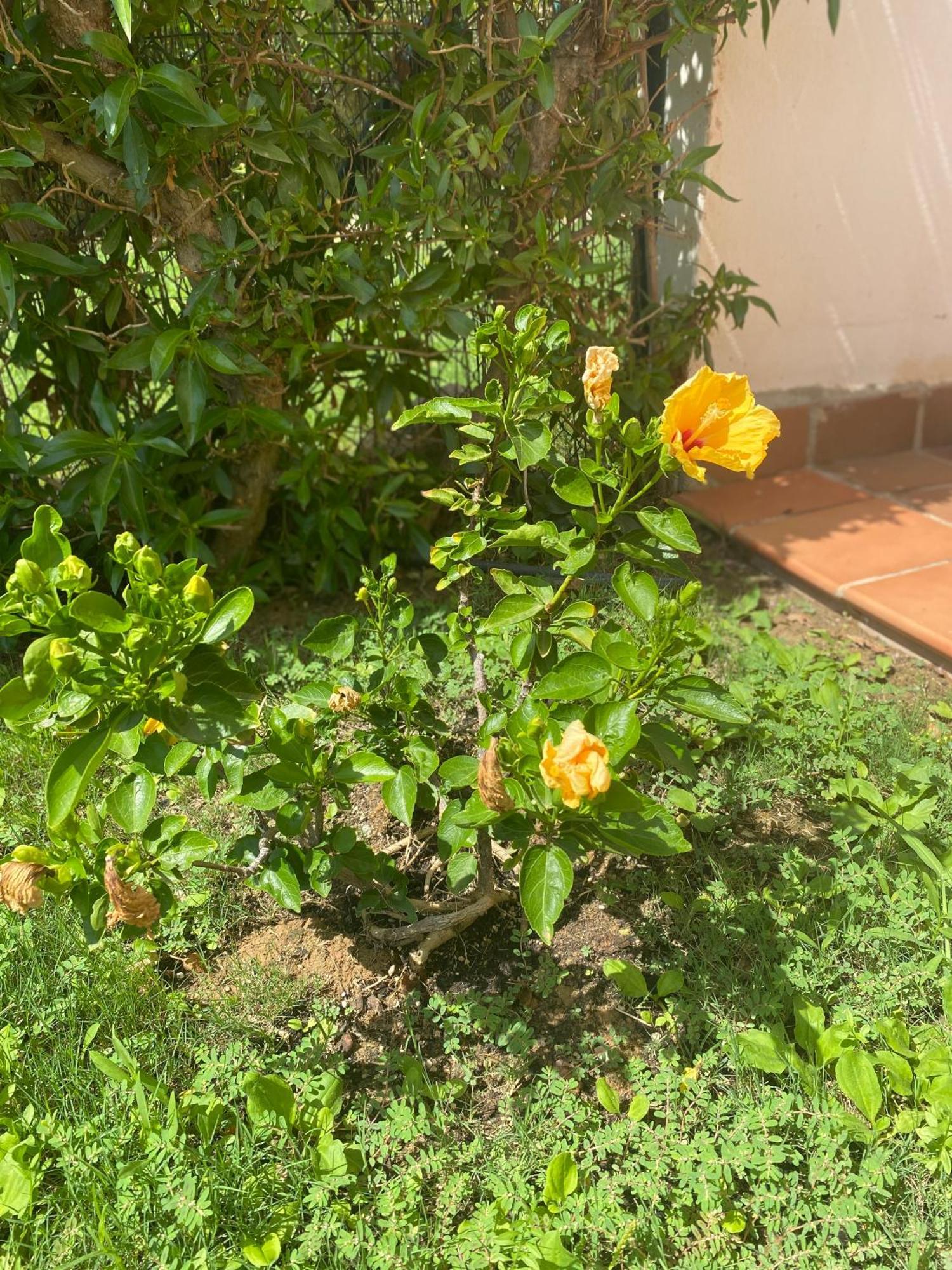 La Casita De ורה מראה חיצוני תמונה